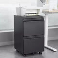 2 Drawer Lockable Metal Rolling File Cabinet, Under Desk Mobile Filing Cabinet